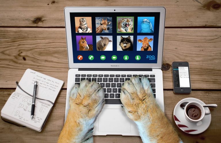 Freelancer on video call dengan klien
